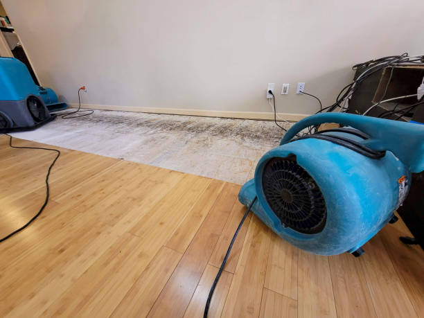 Professional Burst Pipe Water Damage technician working in Paris, AR